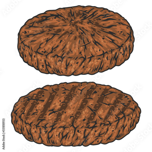 Fried cutlets element colorful detailed