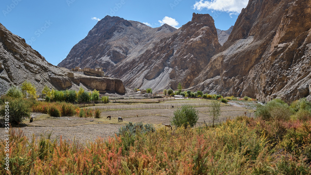 Markha village in Markha valley, Ladakh
