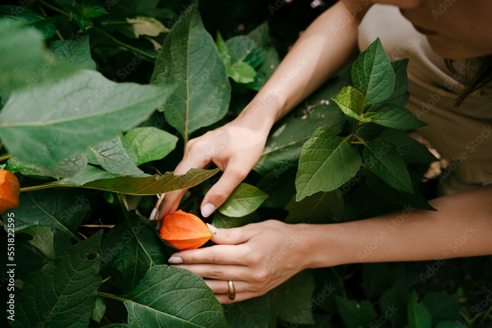 © Maskot - High angle view of woman touching orange flower amidst leaves in garden