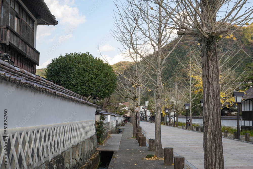 Fototapeta premium 山陰の小京都 秋の津和野 殿町通りの眺め 島根県
