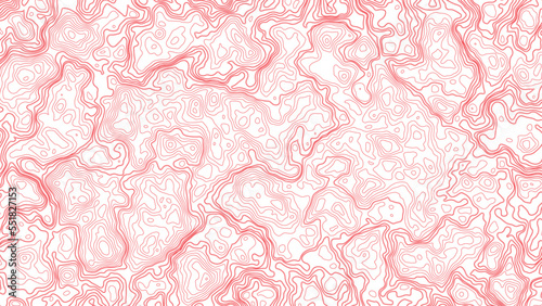 Abstract topography map, vector background.
Background of the topographic map. Topographic map lines.
Vector contour topographic map background.