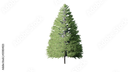 3D Christmas Trees Isolated on PNGs transparent background   Use for visualization in architectural design or garden decorate  