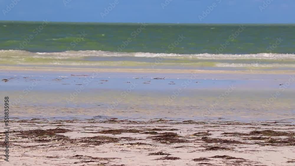 Beautiful Holbox island beach sandbank panorama turquoise water waves Mexico. Beautiful Holbox island beach sandbank panorama turquoise water waves Mexico.