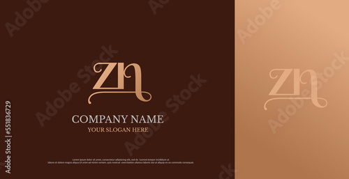 Initial ZN Logo Design Vector 