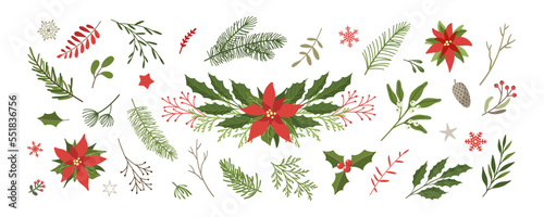 Christmas floral design elements set. Fir branches, leaves, tree twigs, berries, flowers, poinsettia, mistletoe, snowflakes and stars. Christmas decoration in a flat style on a white background photo