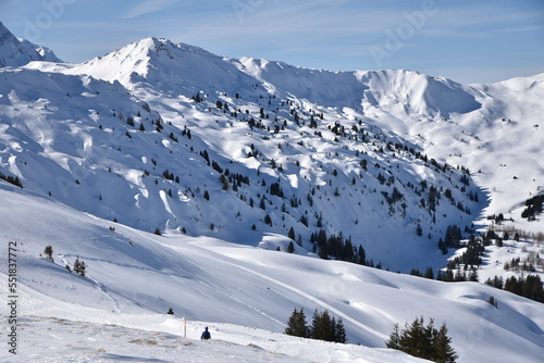 Monts enneigés des Alpes suisses