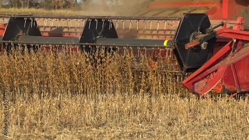 Close-up of Harvesting machine working in the field. Combine harvester agricultural machine ride in the field of goldens soybean.