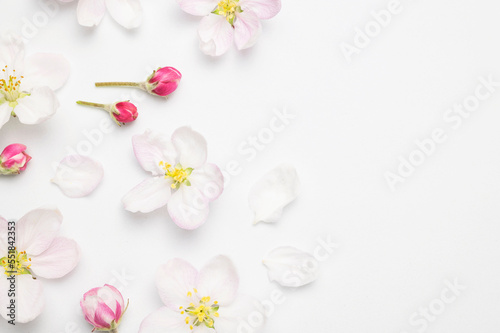 Beautiful delicate fresh spring flowers, buds, green leaves of apple tree on white background top view. Spring background flat lay. Springtime nature concept. Bloom, inflorescence, flowering