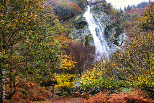 Fototapeta Naklejka Na Ścianę i Meble -  Ireland Powerscourt Waterfall