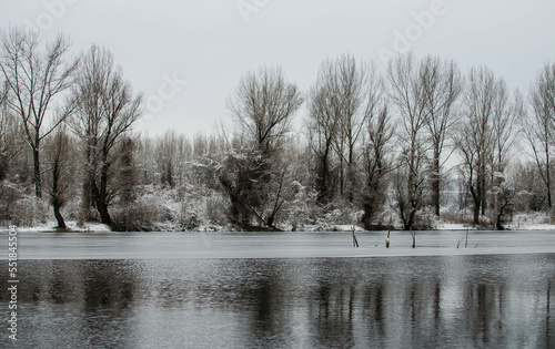 Danube river delta in winter. © caocao191