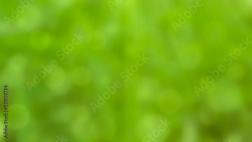 bokeh blurred background with green grass colour