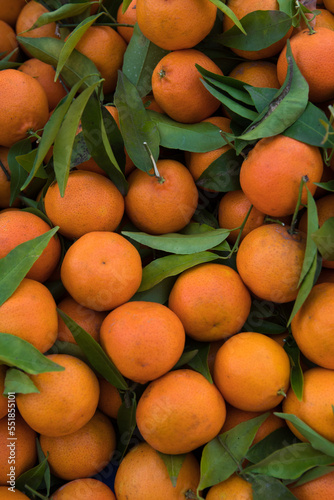 Top view of several tangerines filling the entire frame