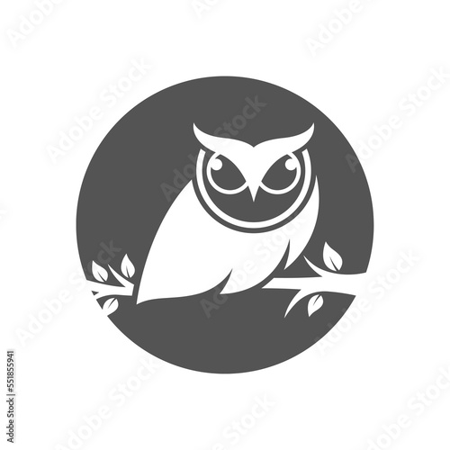 owlon a white background