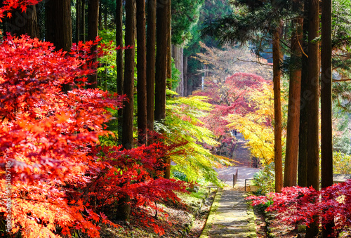 清水寺 参道の紅葉