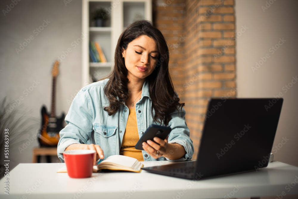 Beautiful pregnant woman working on laptop. Young businesswoman using the phone. Beautiful pregnant woman working on laptop. Young businesswoman using the phone.
