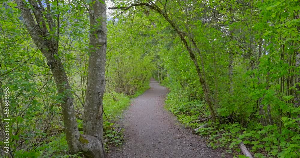 Establishing shot of trail in park in slow motion at summer day in Vancouver, Canada, North America. Day time on September 2022. Still camera. Establishing shot of trail in park in slow motion at summer day in Vancouver, Canada, North America. Day time on September 2022. Still camera.