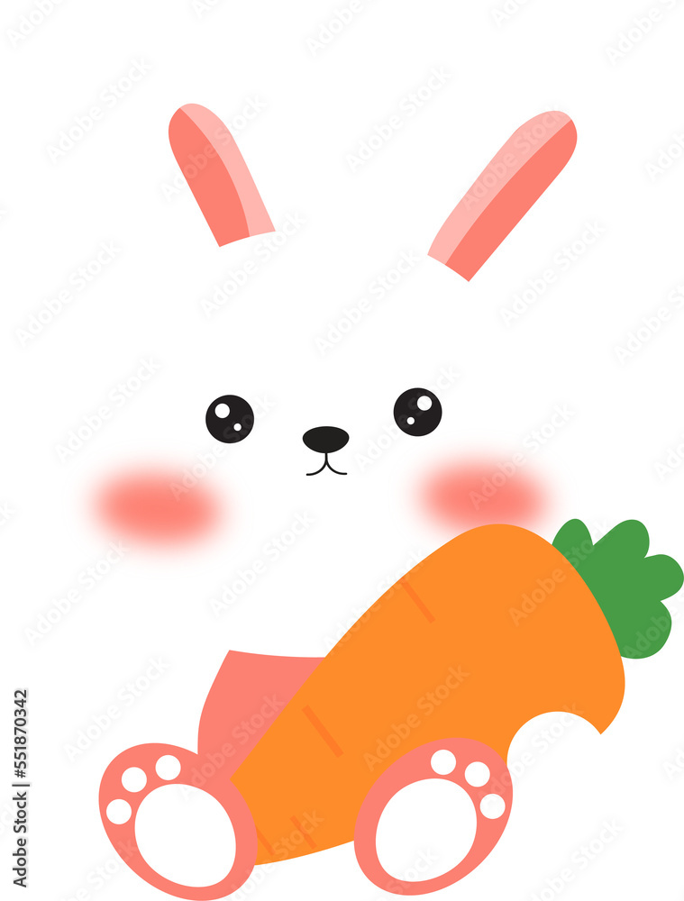 Cute Rabbit with Carrot.