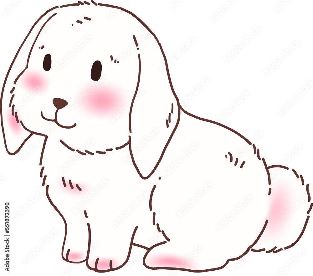 Fototapeta premium White Rabbit Bunny Illustration
