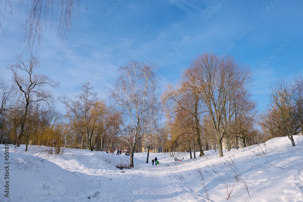 Winter landscape of the city park on a clear sunny day