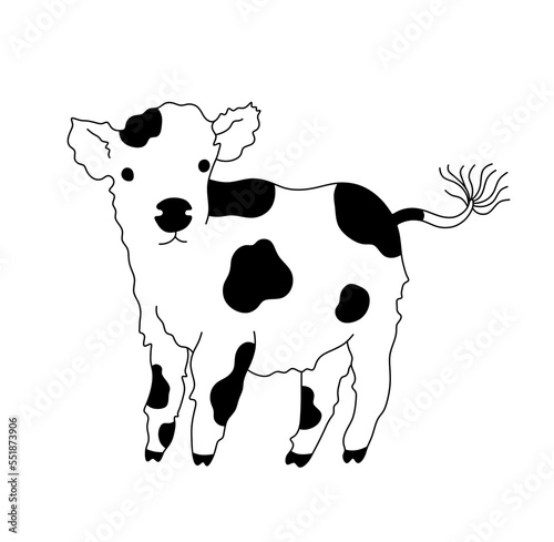 Vector isolated cute cartoon baby cow calf shaggy spotted colorless black and white contour line easy drawing