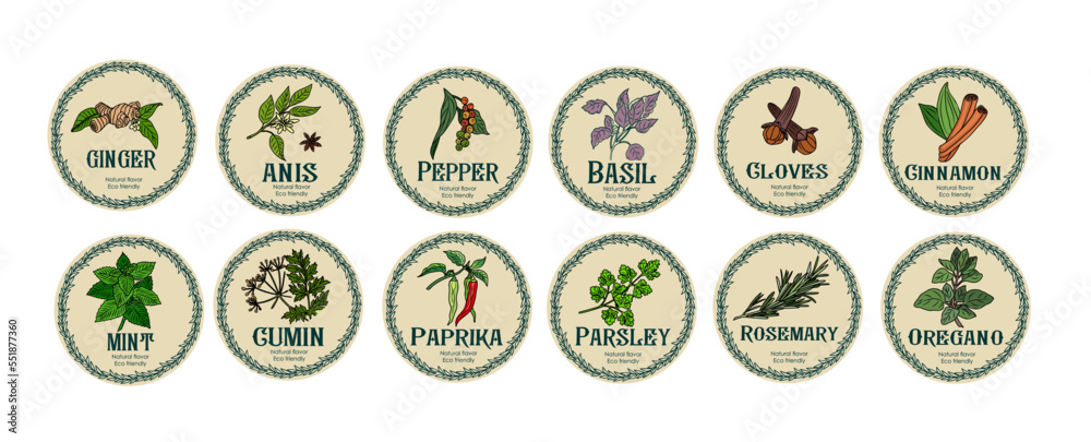 Vector set of spices food labels with herbs sketches: pepper, basil ...