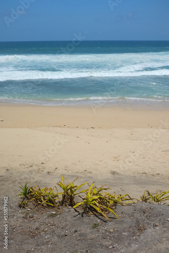 A deserted beach with white sand, crashing waves, and the horizon line in the distance. Beach space background with vertical format.