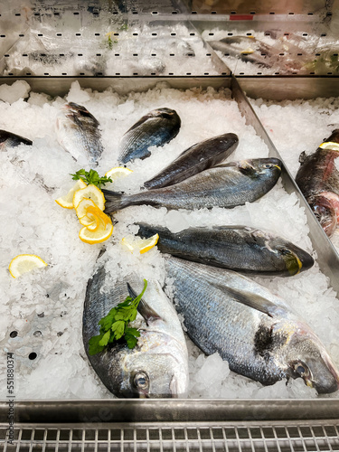 Tasty fresh ocean Salminus brasiliensis fish on ice at fish shop photo