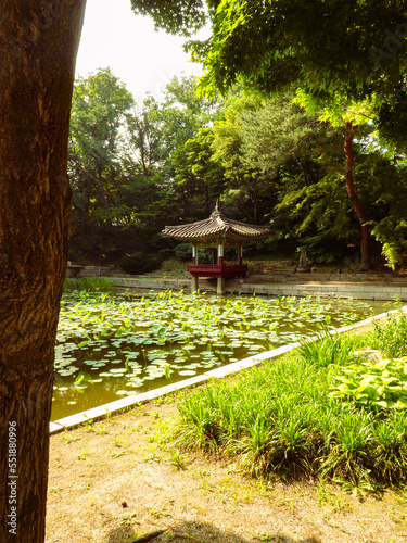 path in the park