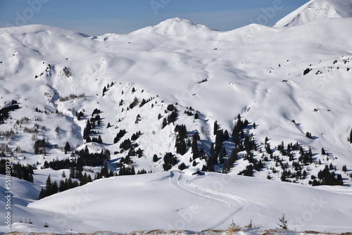 Monts enneigés de l'Oberland bernois. Suisse