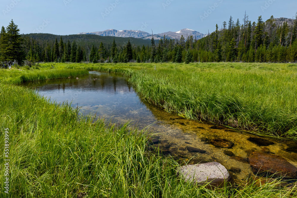 Oliver Creek in the Cloud Peak Wilderness Area of Wyoming's Bighorn Mountains Oliver Creek in the Cloud Peak Wilderness Area of Wyoming's Bighorn Mountains