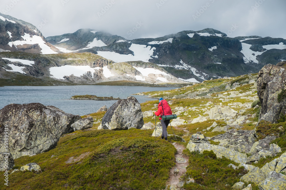 female hiker in red jacket in wild highland in Norway, Hardangervidda nationalpark