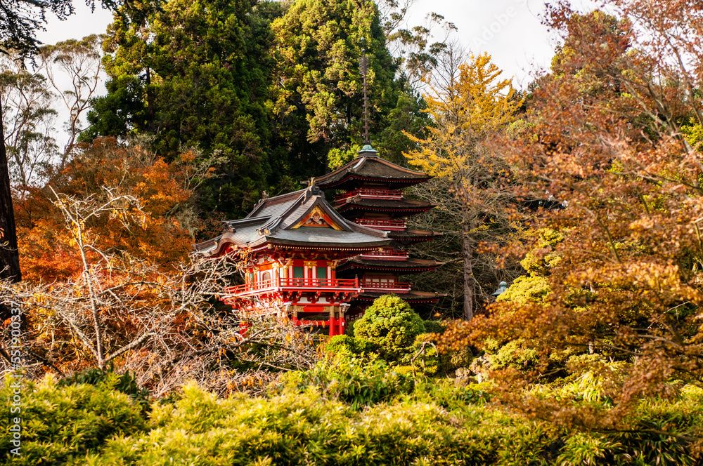 Fototapeta premium japanese temple in autumn