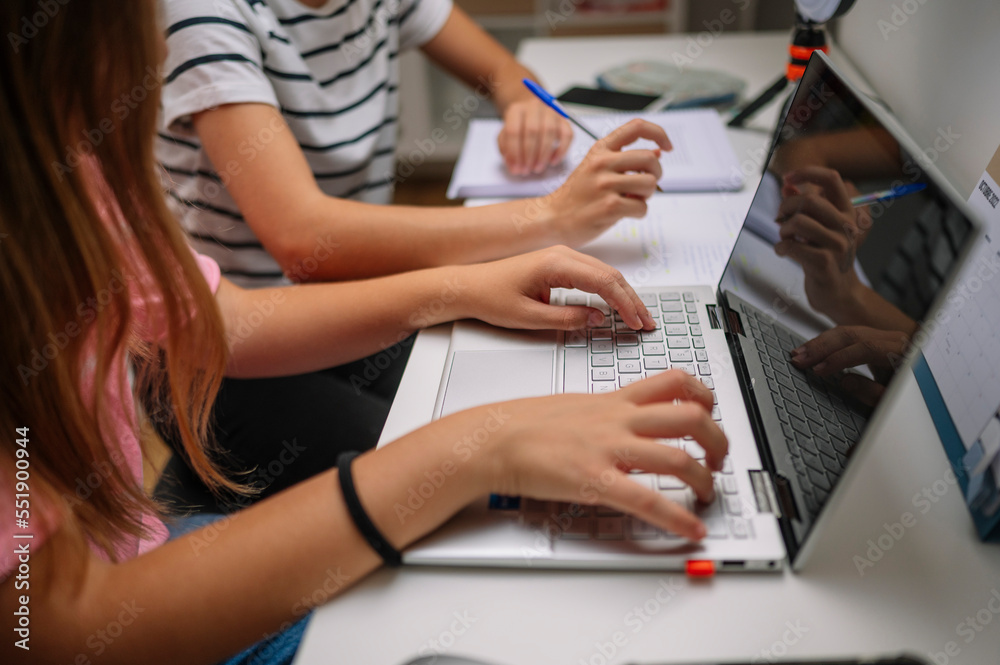 Two young girls studying in their room. Two young girls studying in their room.
