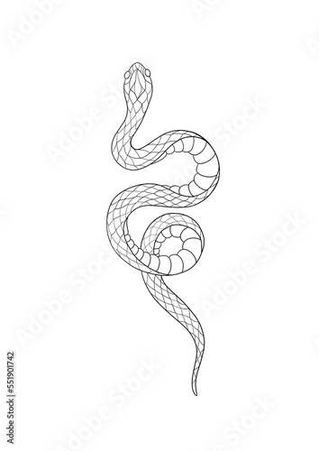 Tattoo snake. Traditional black dot style ink. Isolated illustration. Traditi...