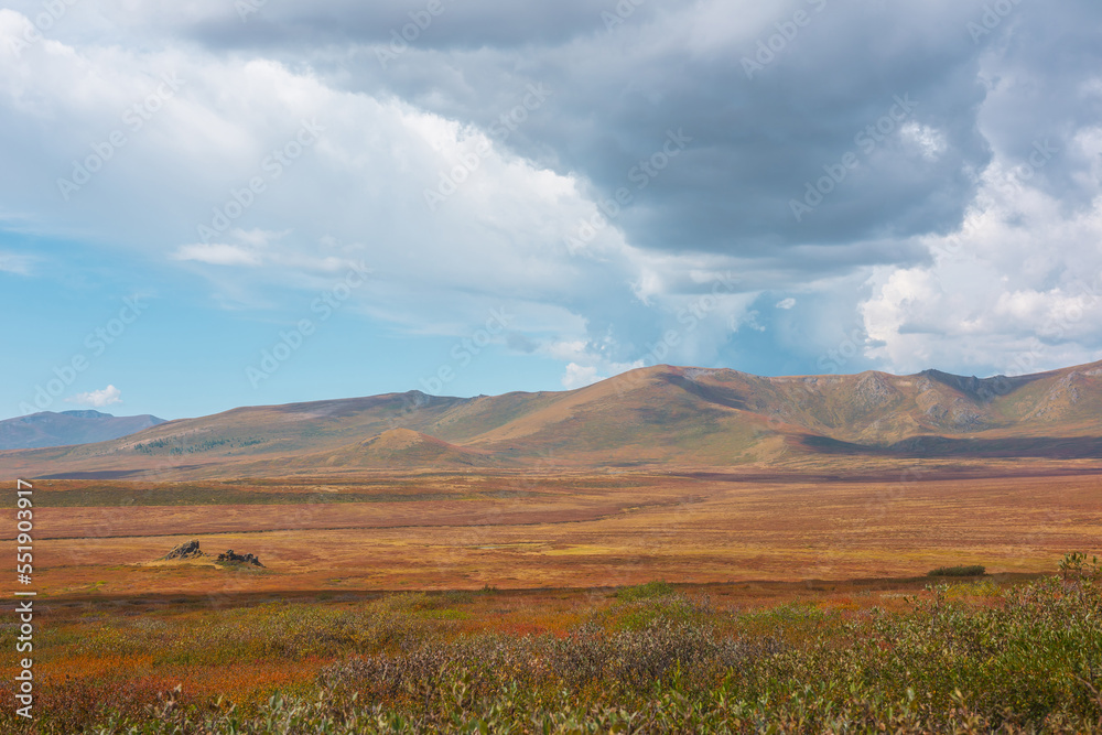 Obraz premium Motley autumn landscape with sunlit high mountain plateau and mountain range under dramatic sky. Vivid autumn colors in mountains. Sunlight and shadows of clouds in changeable weather. Sunny and rainy