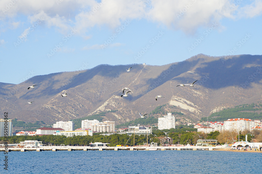 seagulls in the sea and mountain landscape