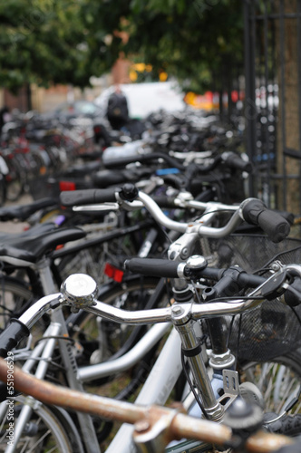 Photography Bikes on row