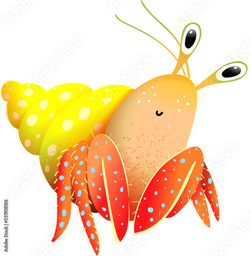 Cute Funny Hermit Crab Hand Drawn Illustration for Children. Underwater crustacean character, colorful drawing of marine shellfish. Adorable hermit crab vector isolated clipart cartoon.
