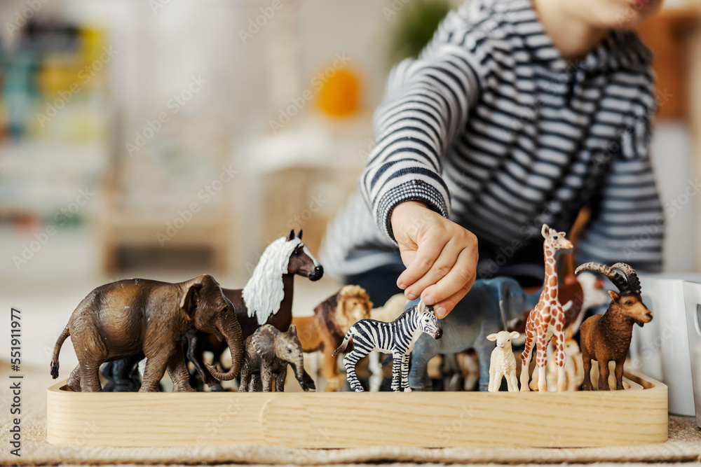 Close up of a child playing with figurines of wild animals and learning trough the game. - obrazy, fototapety, plakaty 