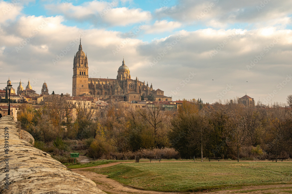 Catedral de Salamanca, Castilla y León, España