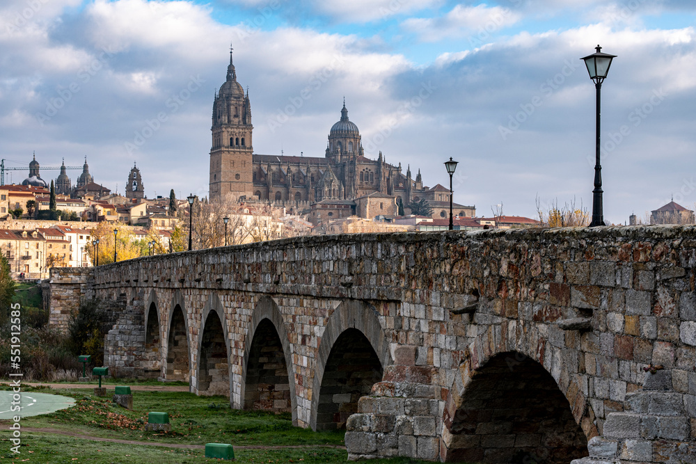 Catedral de Salamanca, Puente romano, Castilla y León, España