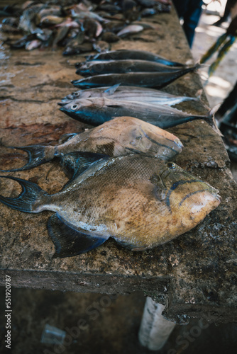 Nigril, Jamaica fish market