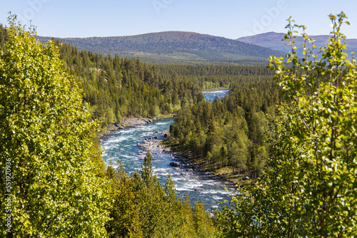 Pure nature in the norwegian wilderness with remote woods and the Sjoa river on a beautiful summer day