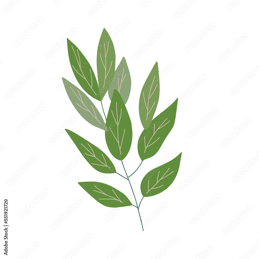 Christmas plant, decorative branch with leaves for home decor, festive holiday arrangement, vector illustration for seasonal greeting card, invitation, banner