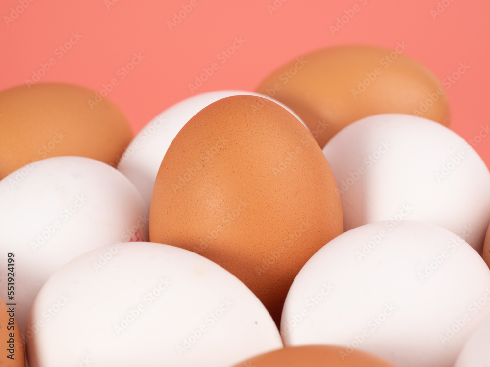 Chicken eggs on a pink background. White and brown egg on a pink background. Chicken eggs on a pink background. White and brown egg on a pink background.