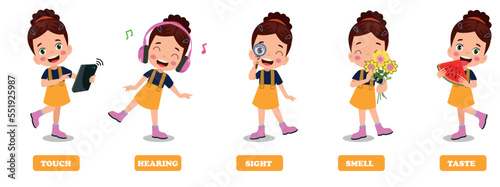 Five Senses Concept With Human Organs