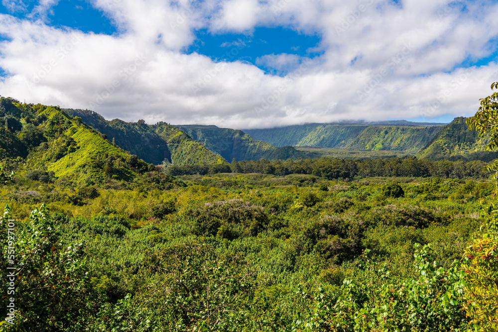 Lush tropical valley in Maui, Hawaii