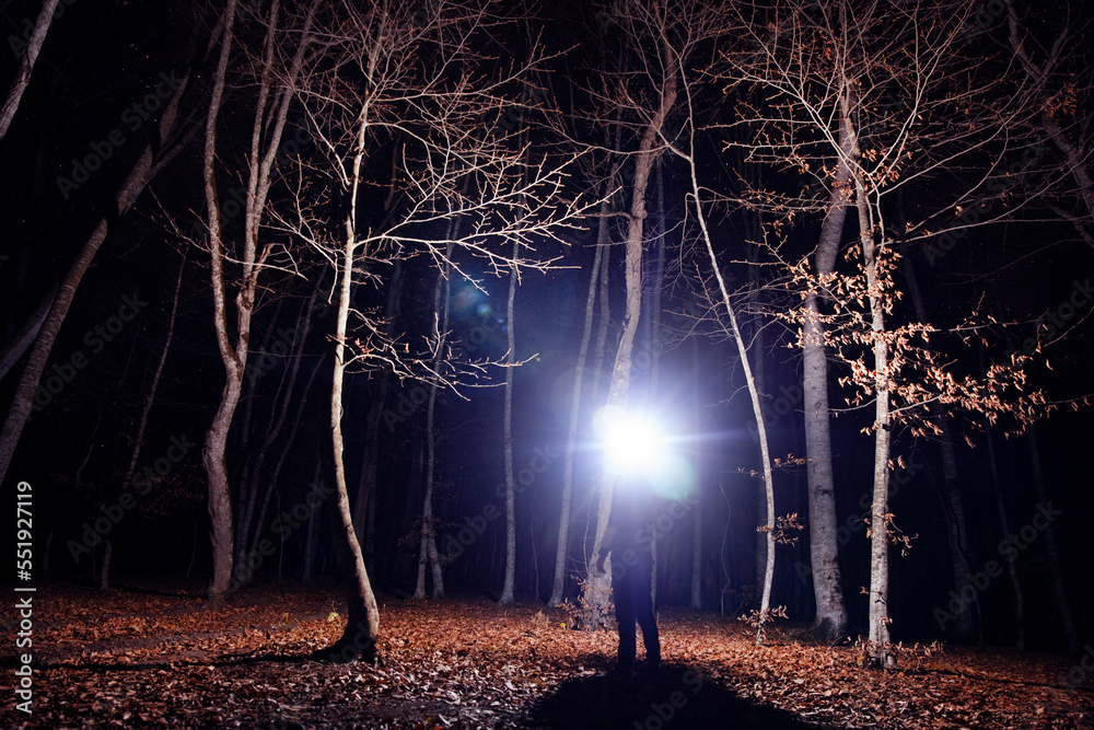 A man holding a bright flashlight in a dark forest - obrazy, fototapety, plakaty 