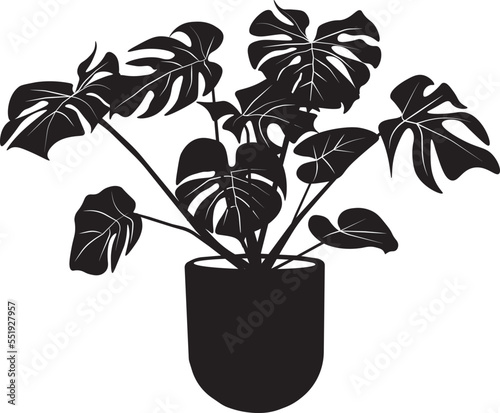 Indoor potted plant Monstera or Adam's Rib. Tropical leaf silhouette illustration. Vector isolated on white background.