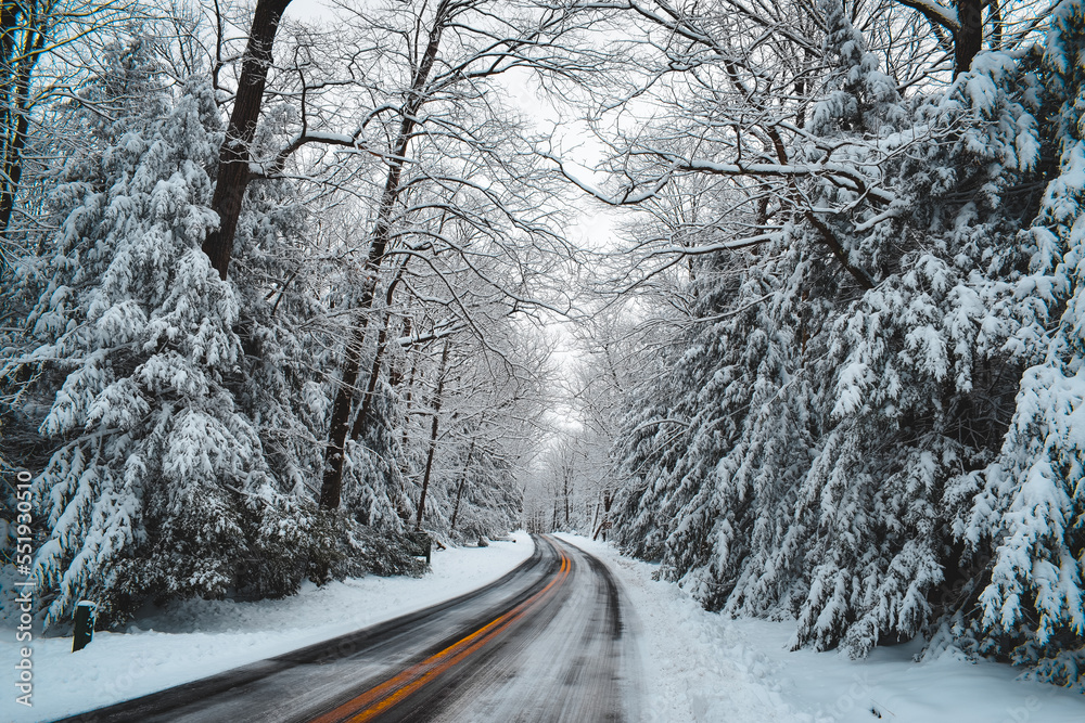 Φωτογραφία Icy road in Coopers Rock State Forest, West Virginia